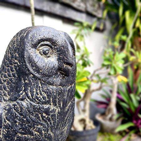 Panda Lumbung Acomodação com café da manhã Sanur Exterior foto