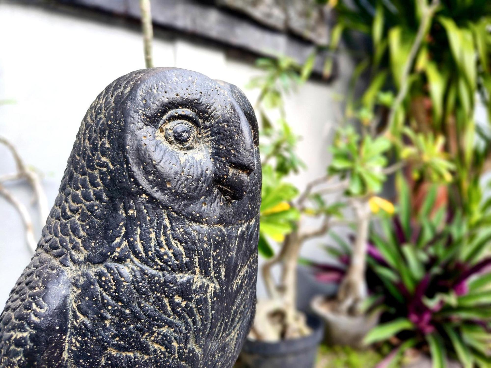 Panda Lumbung Acomodação com café da manhã Sanur Exterior foto